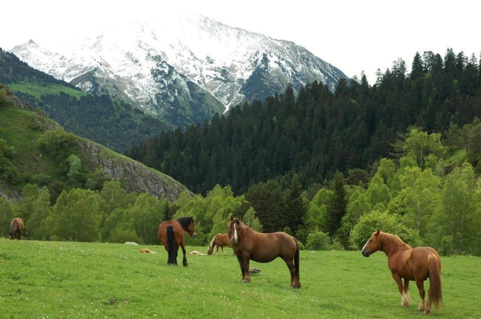 Pensio La Creu Hotel Esterri D'Aneu Bagian luar foto